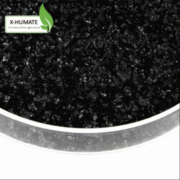 X-Humate Humic Manufacturer Potassium Humate Flakes